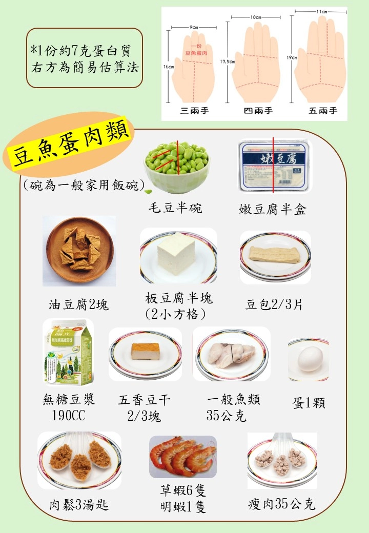 豆魚蛋肉類份量代換示意圖