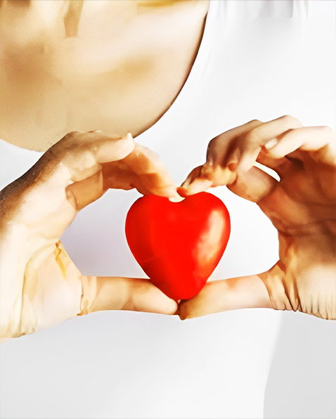 心臟頸動脈甲狀腺超音波